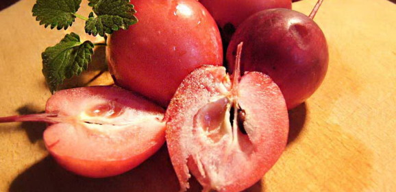 Przetwory z rajskich jabłuszek
